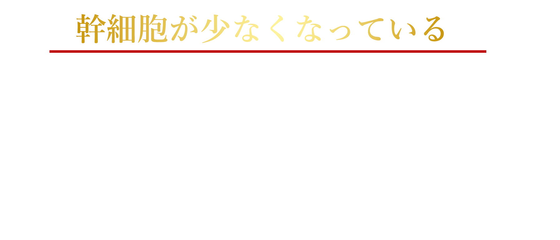 そんなあなたに